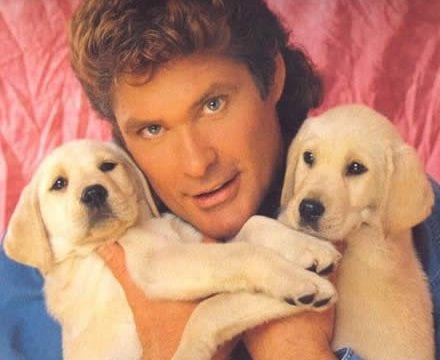 David Hasselhoff singt den ‚Prince of Bel Air‘