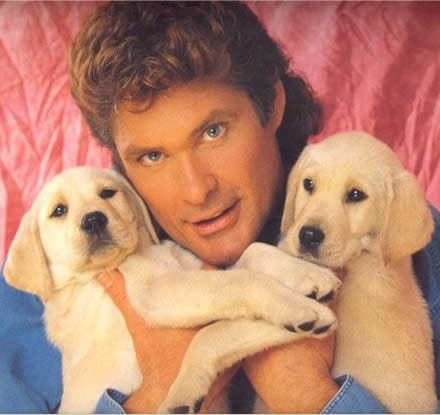 David Hasselhoff singt den ‚Prince of Bel Air‘