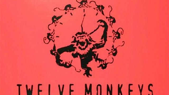 12 Monkeys, die Serie