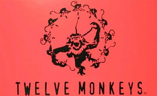 12 Monkeys, die Serie