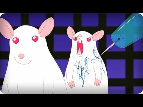 Pinky and the Brain: Wissenschaftlich korrekt