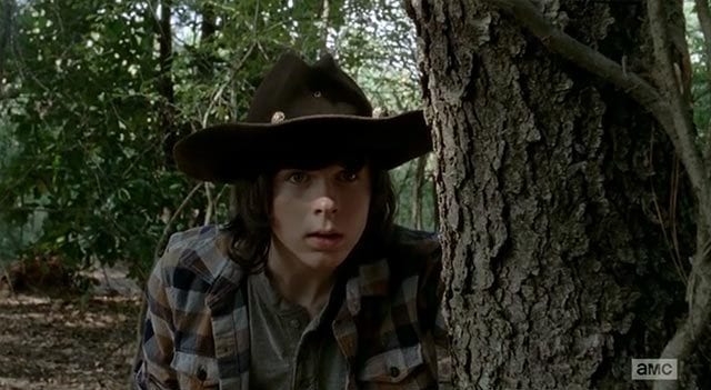 The Walking Dead S05E12 – Remember