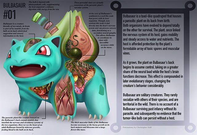 Die Anatomie der Pokémon