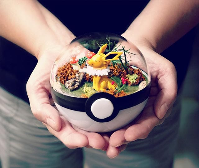 pokeball-terrarium_05