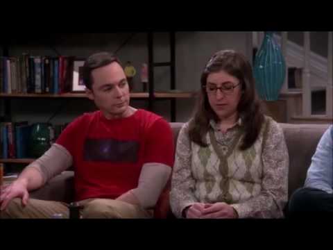 Lachsalven bei Big Bang Theory durch Ricky Gervais ersetzt