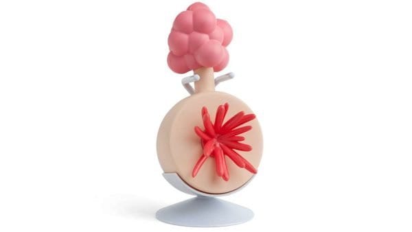 plumbus