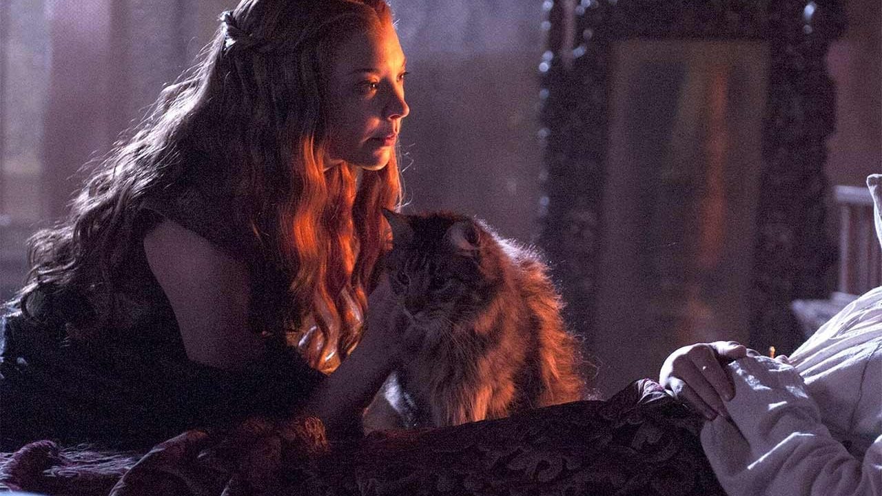 Game of Thrones: Ser Pounce wurde Off-Screen getötet