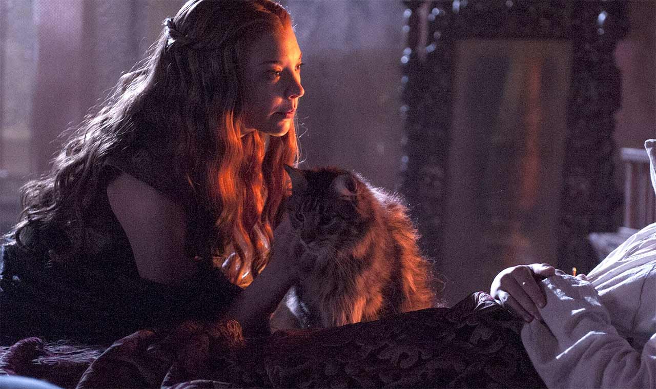 ser-pounce-game-of-thrones