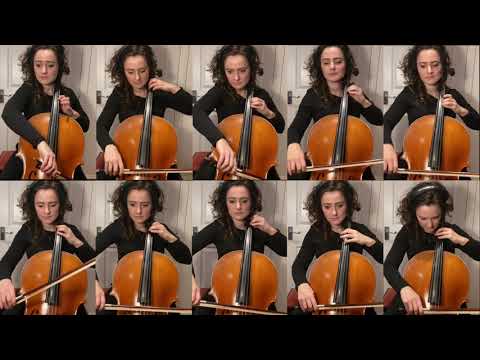 „Teenage Mutant Ninja Turtles“-Theme aus Cellos gespielt