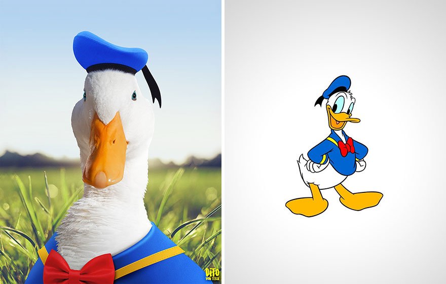 Donald-Duck