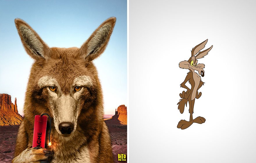 Wile-E.-Coyote