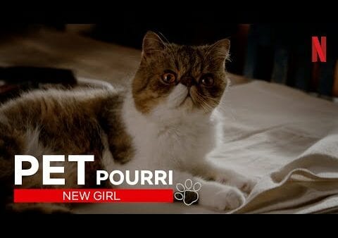 New Girl: Best of Kater Ferguson