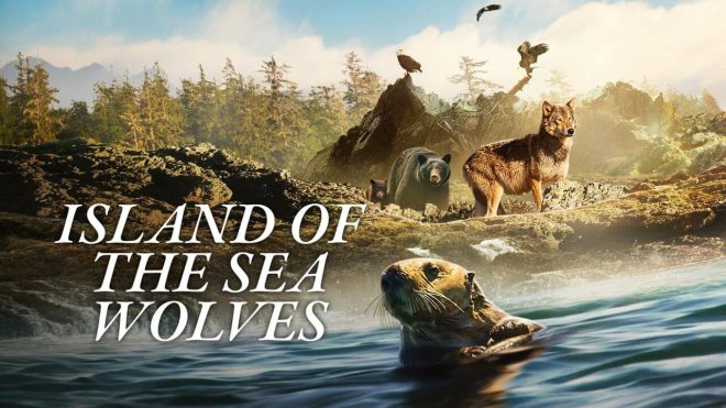 Island of the Sea Wolves: Trailer zur Netflix-Dokuserie