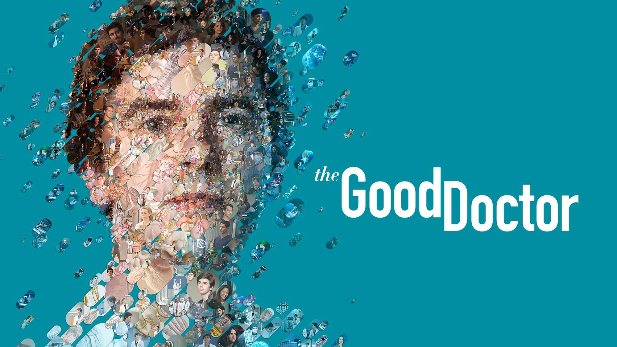 The Good Doctor Staffel 7 Banner