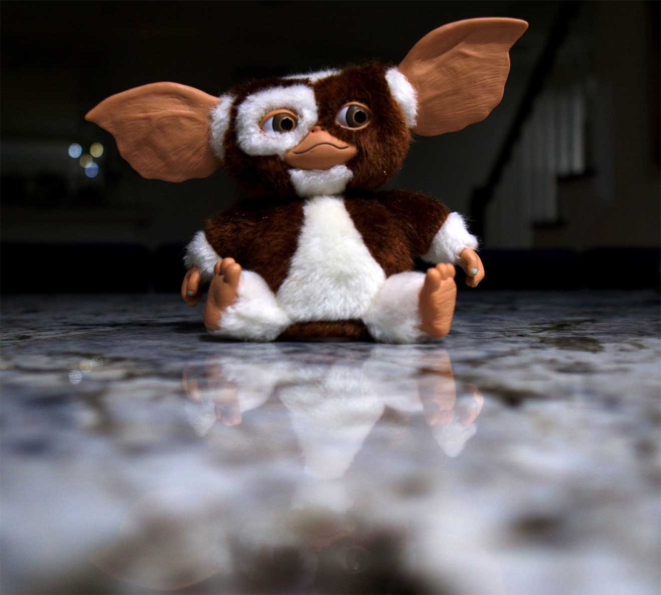 Gizmo-Gremlin-pixabay