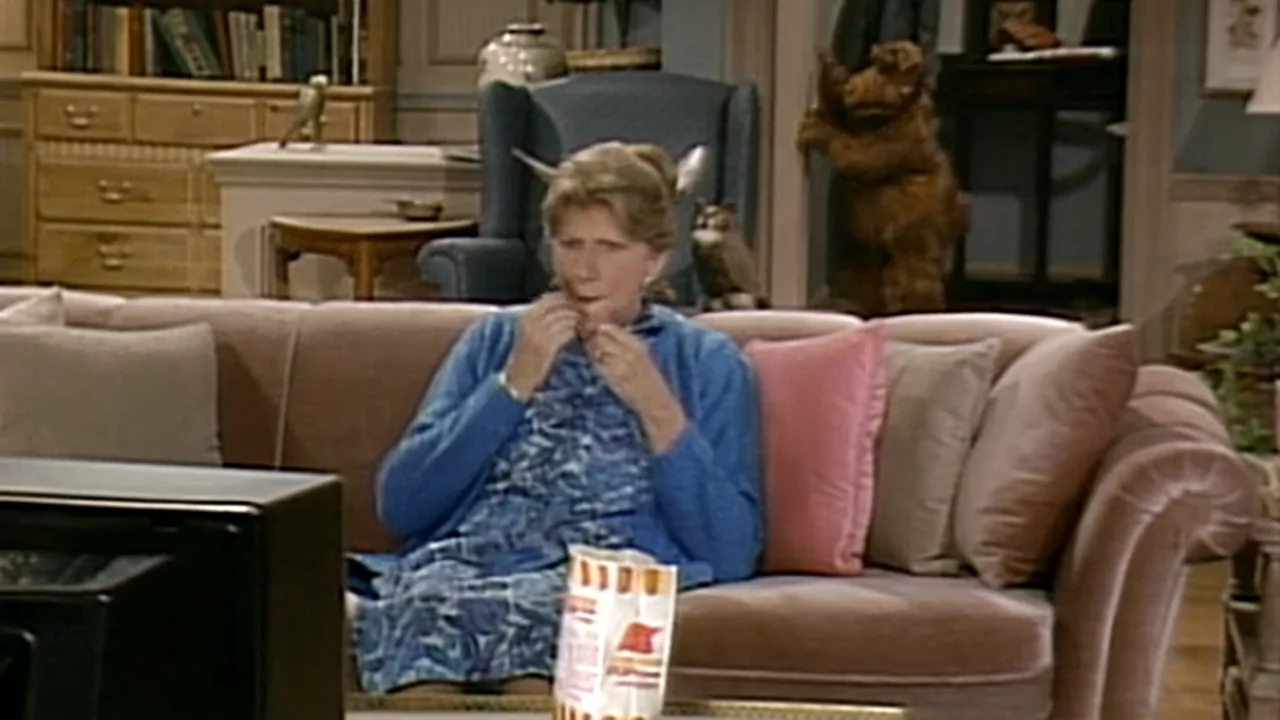 Rewatch-Review: „ALF“ S01E02 – „Die Nacht, in der die Pizza kam“ („Strangers in the Night“ )